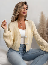 Retro Lantern sleeve V-neck Long-sleeved Sweater