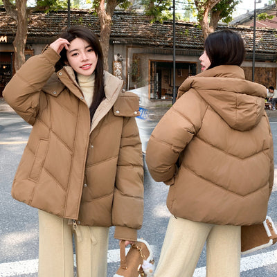 Hooded Short Cotton-padded Down Jacket