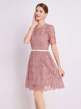 Lace Short Sleeve Round Neck Dress