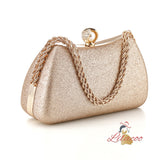 Fashion Clutch Banquet Dinner Bag