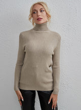 Solid Color Fashion High Neck Sweater