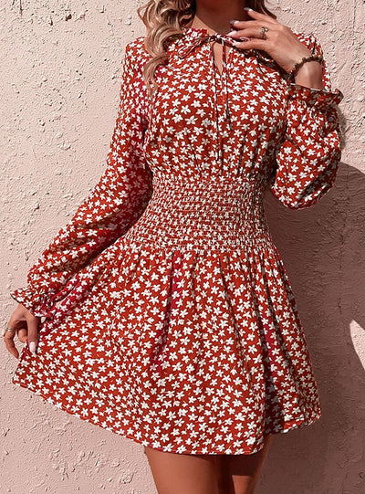 Long Sleeve Tie Waist Printed Dress