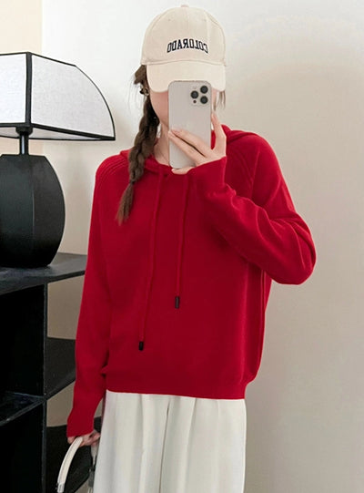 Pullover Drawstring Hooded Sweater