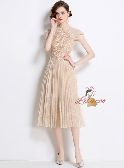 Lace Embroidered Pleated Long Dress