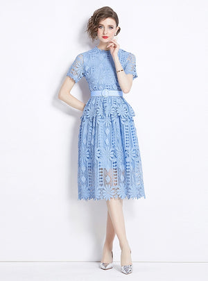 Slim Lace Short Sleeve Dress