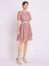 Lace Short Sleeve Round Neck Dress