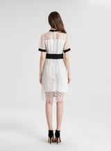 Lace Slim Waist Short Sleeve Dress