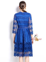 Long Sleeves and Slim Lace Dress