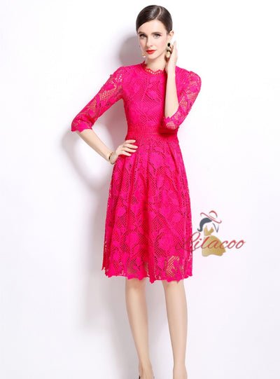 Long Sleeves and Slim Lace Dress