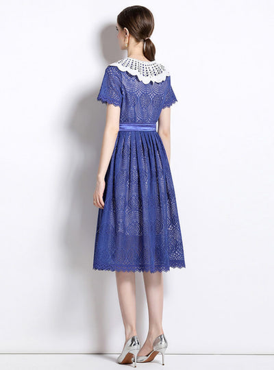 Hollow Lace Short Sleeve Dress