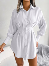 Lantern Sleeve Silm Waist Shirt Dress