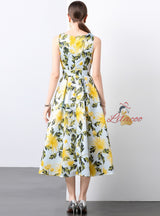 Sleeveless High Waist Printed Silm Waist Dress