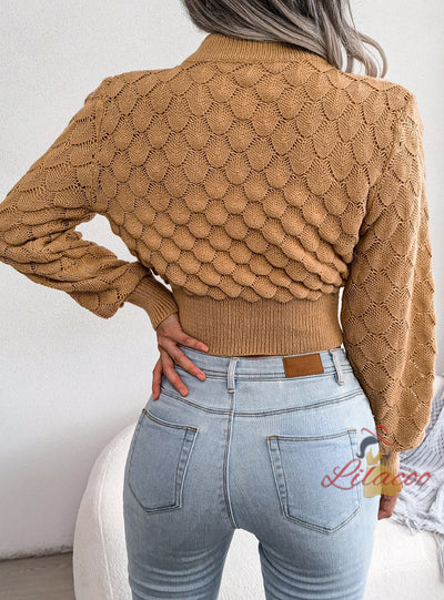 Long-sleeved Knitted Short Sweater