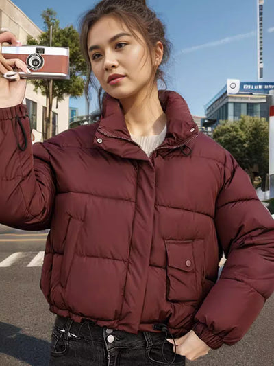 Thick Vertical Collar Loose Short Down Jacket