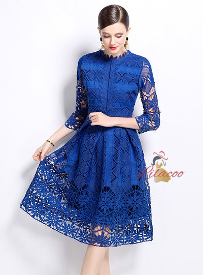 Long Sleeves and Slim Lace Dress