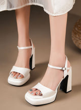 Waterproof Platform Thick Heel Sandals