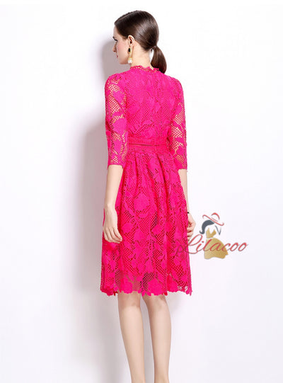 Long Sleeves and Slim Lace Dress