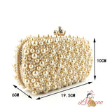 Slung Chain Dinner Pearl Bag