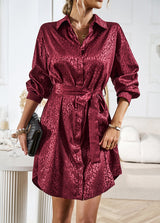 Women Long Sleeve Shirt Dress