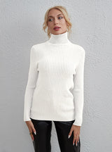 Solid Color Fashion High Neck Sweater