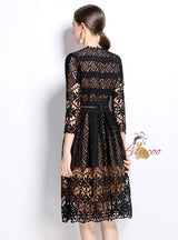 Long Sleeves and Slim Lace Dress