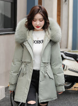 Tooling Self-cultivation Cotton-padded Down Jacket