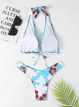 Split Swimsuit Printed Suspender Bikini