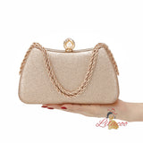 Fashion Clutch Banquet Dinner Bag