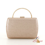 Dinner Bridal Banquet Handbag Bag