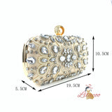 Rhinestone Hand Beaded Chain Clutch Bag