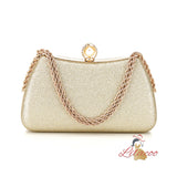 Fashion Clutch Banquet Dinner Bag