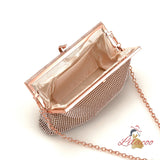 Evening Bag Ladies Handbag Clutch Bag