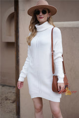 Pullover Loose Solid Color High Neck Sweater Dress