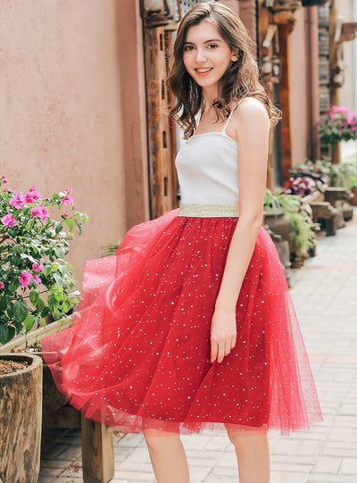 Embroidered Skirt Stars Sequined Skirt