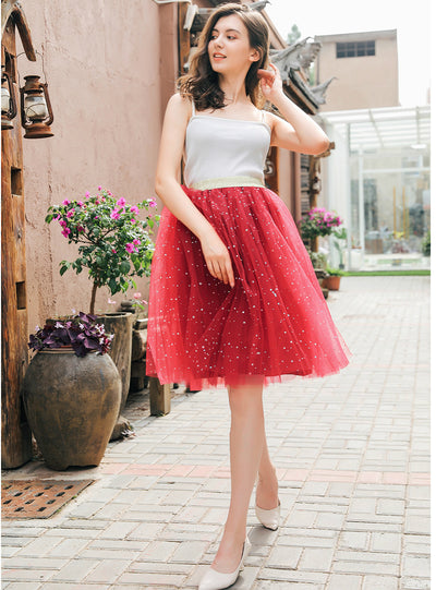 Embroidered Skirt Stars Sequined Skirt