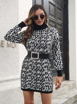 Turtleneck Jacquard Long Sleeve Sweater Dress