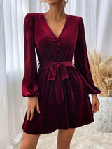 V-neck Long Sleeve Velvet Dress