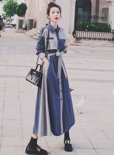 French Platycodon Long Sleeve Shirt Dress Woman