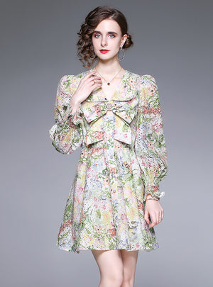 Floral Long Sleeve V-neck Dress