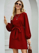 Loose A-line Long Sleeve Dress