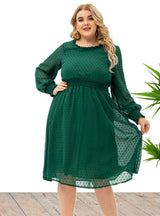 Large Size Women's Long Sleeve Chiffon Dress