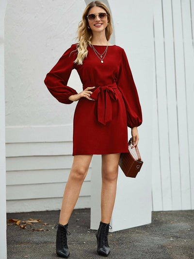 Loose A-line Long Sleeve Dress