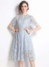 Short Sleeve Round Neck Slim Lace Dress