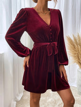 V-neck Long Sleeve Velvet Dress