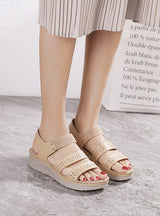 Simple Metal Wedge Sandals